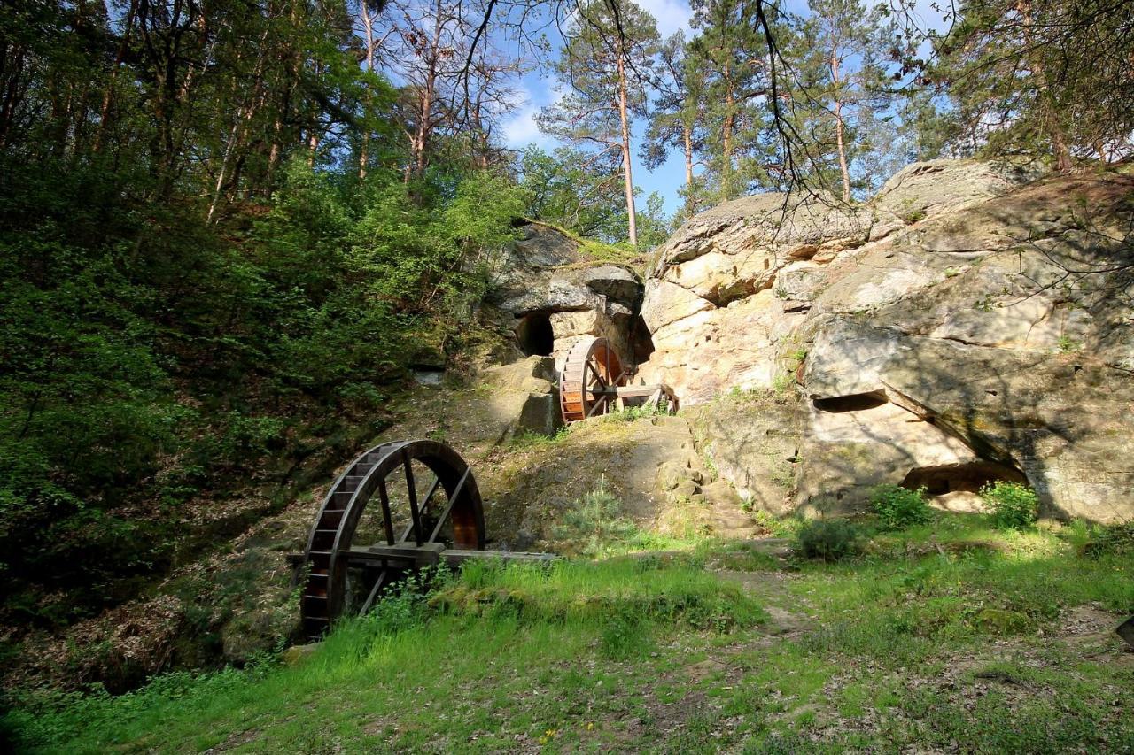 Pension Goldbachmuehle Blankenburg (Harz) Exterior foto